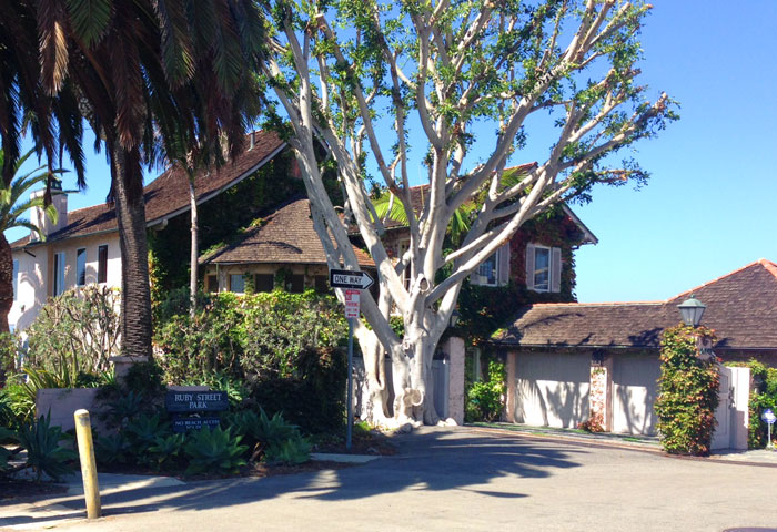 Ruby Street Park Homes For Sale in Laguna Beach, California