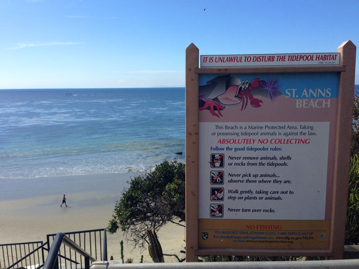 St Anns Beach in Laguna Beach, California
