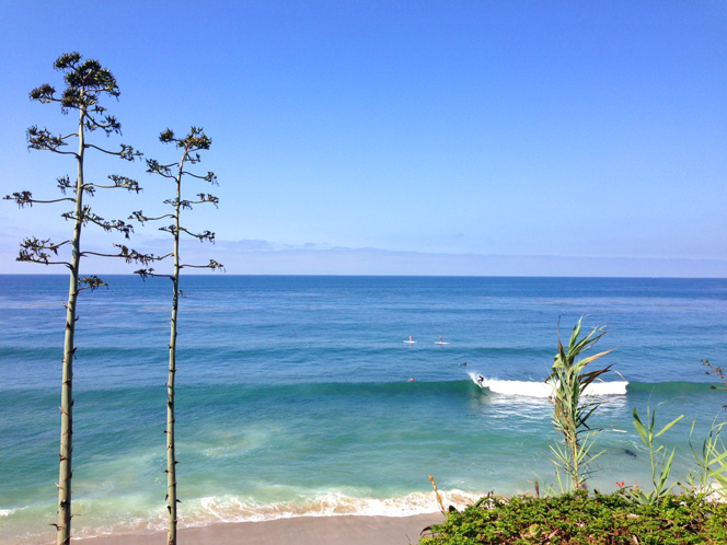 Thalia Surf Break in Laguna Beach, California